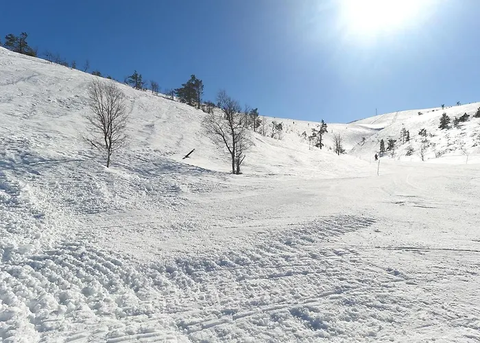 Daire Yllaestunnelma